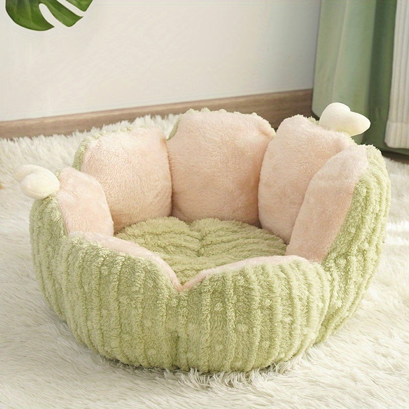 Cactus bed