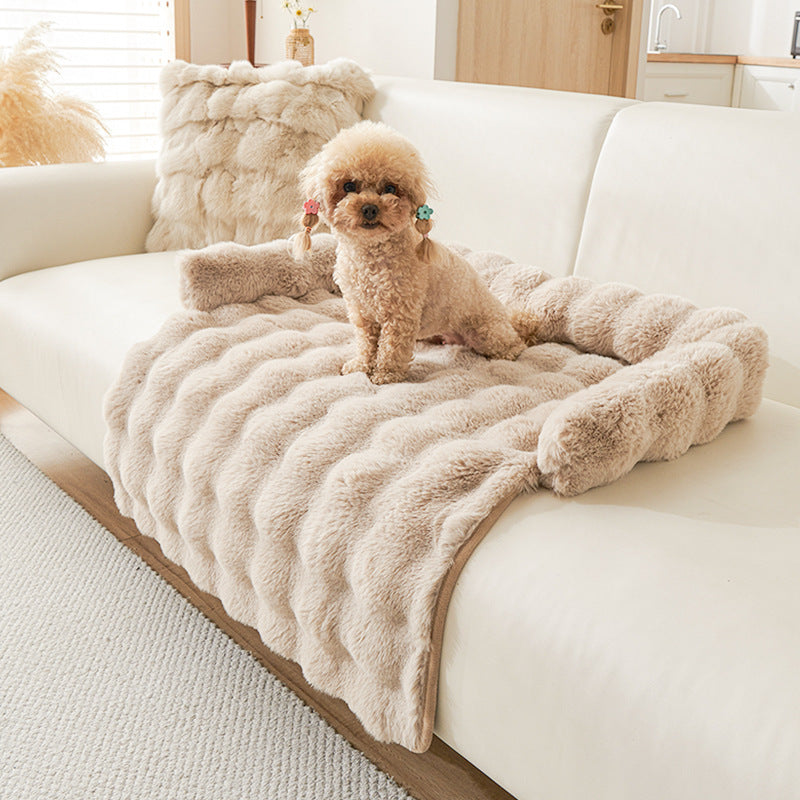 Small dog on a plush, thickened warm pet mat blending luxury and cozy design on a modern sofa.