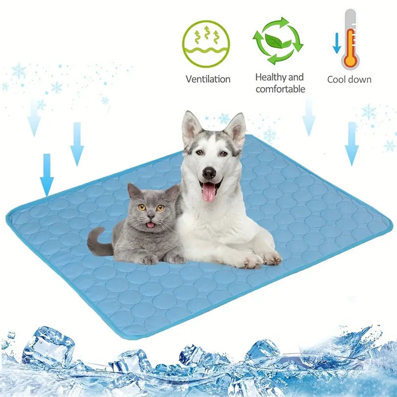 Dog and cat relaxing together on a breathable blue summer chill pad designed for cooling comfort