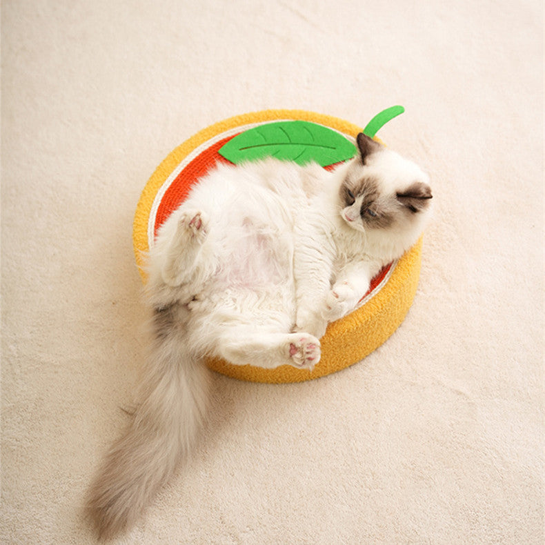 Fluffy cat resting on a cozy, modern pet cushion with playful leaf detail in a light neutral room.