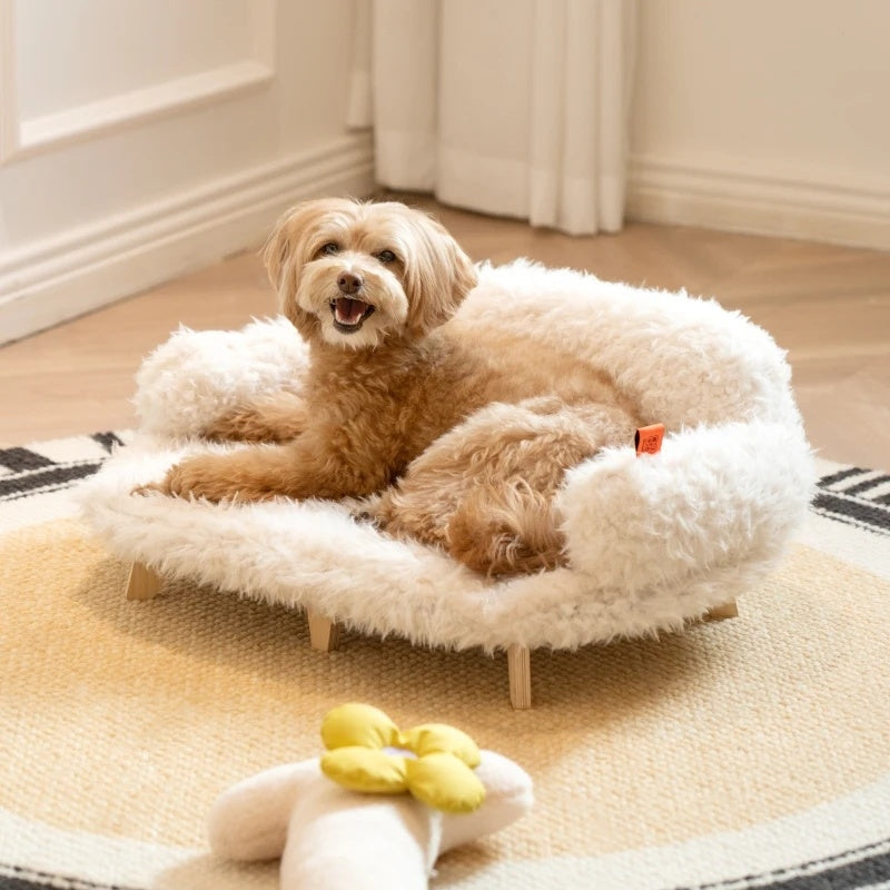 Small dog relaxing on a cozy, elevated wooden pet sofa bed with plush white cushioning indoors