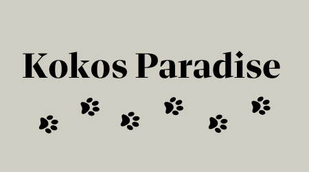 Kokos Paradise