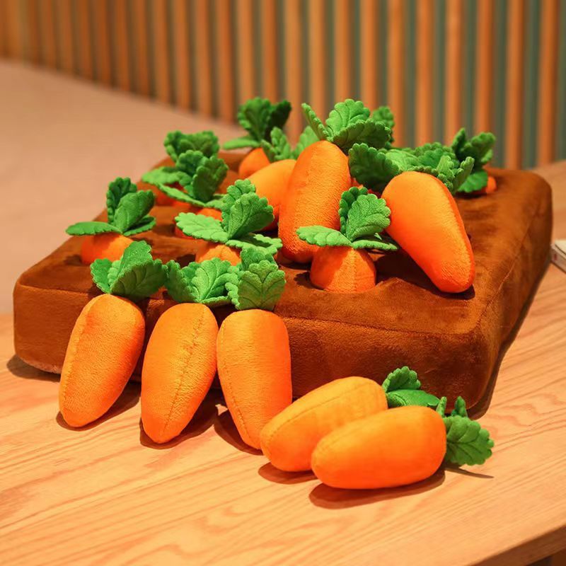 Carrot harvest