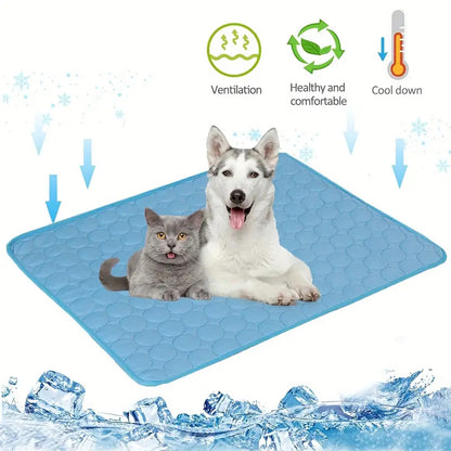 Dog and cat relaxing together on a breathable blue summer chill pad designed for cooling comfort