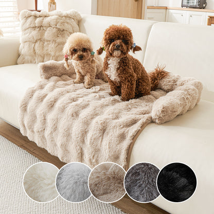 Two small dogs sitting on a plush, thickened pet mat with cozy, luxury texture on a white sofa
