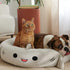 Orange tabby cat and bulldog resting together on a cozy luxury pet cushion bed in a modern home setting